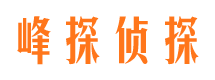 保定私家侦探公司